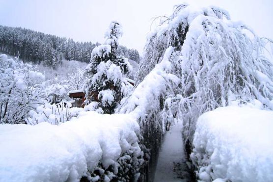 Winter 2008