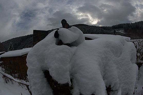Schnee im Alpingarten