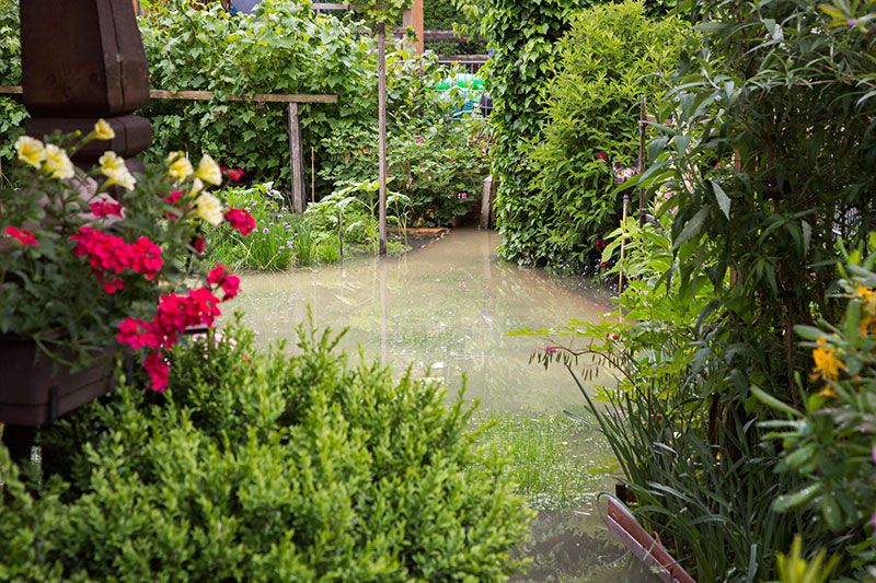 Alpingarten steht unter Wasser