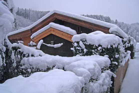 Winter 2008