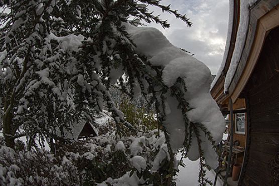 Schnee im Alpingarten