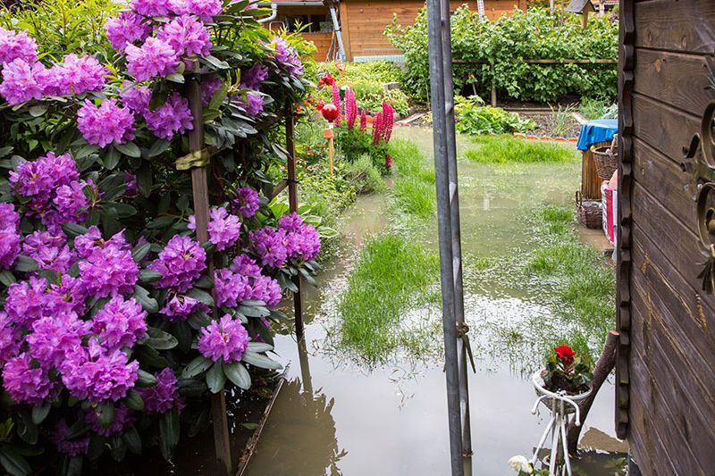  Alpingarten steht unter Wasser